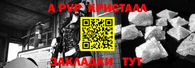 индика Пенза