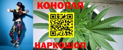 стаф Пугачёв