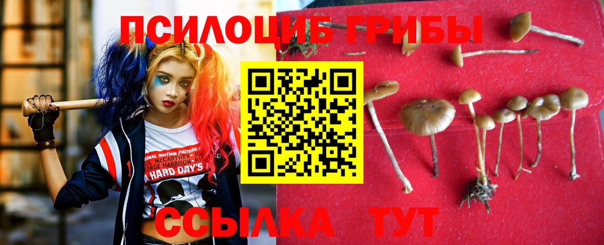 Псилоцибиновые грибы прущие грибы Нефтекамск